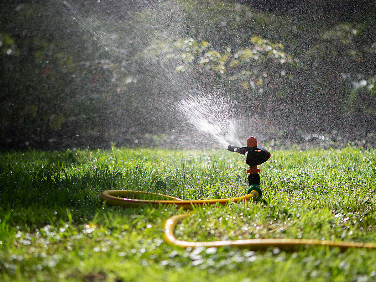 A sprinkler sprays water across grass.