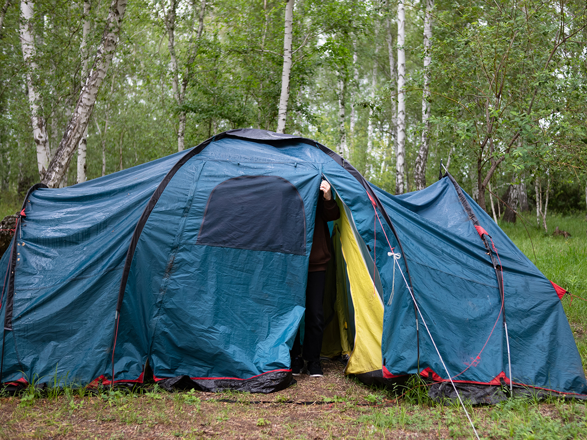 A tent being set-up in a wooded area.