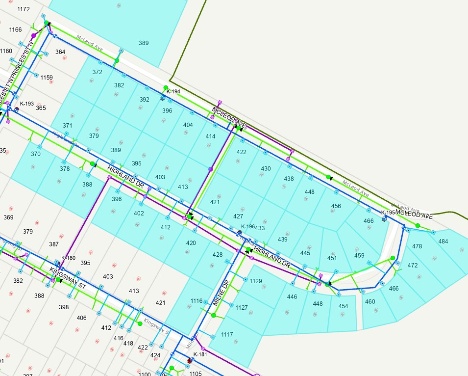 Aerial map showing properties affected by water interruption highlighted in blue.