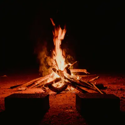 A campfire burning at night.